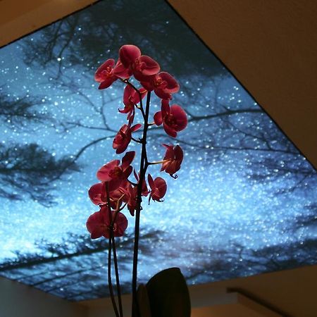 Hotel Bel Horizon Saint-Chély-dʼApcher エクステリア 写真