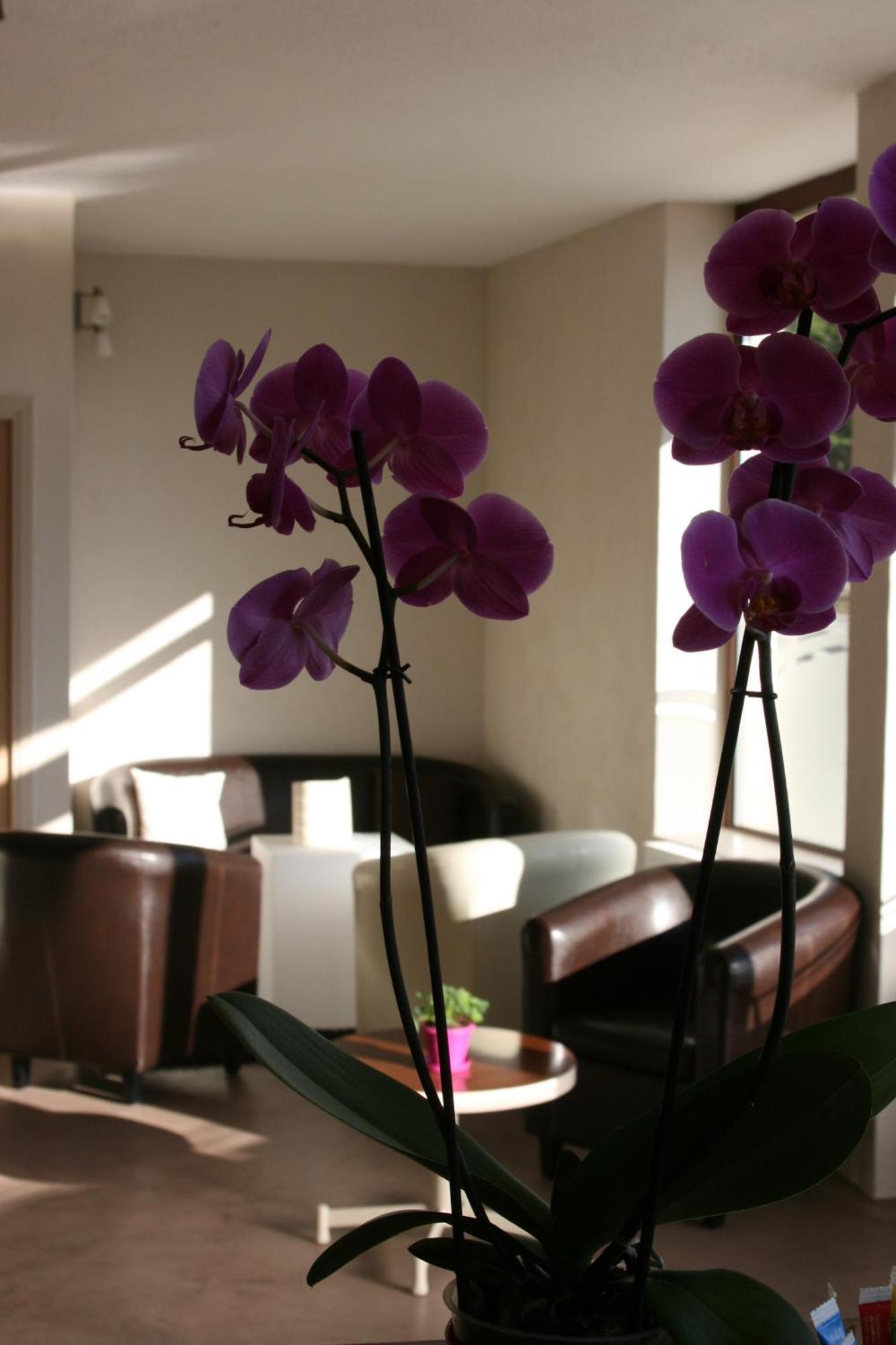 Hotel Bel Horizon Saint-Chély-dʼApcher エクステリア 写真